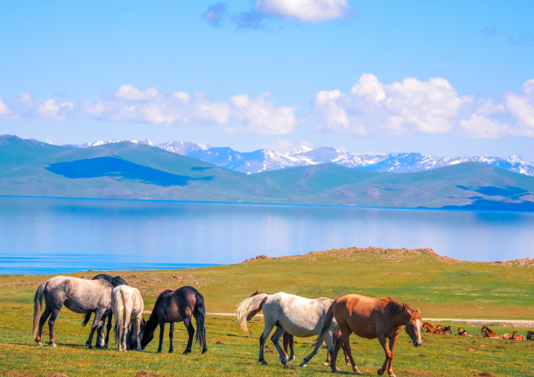 kyrgyzstan tour packages