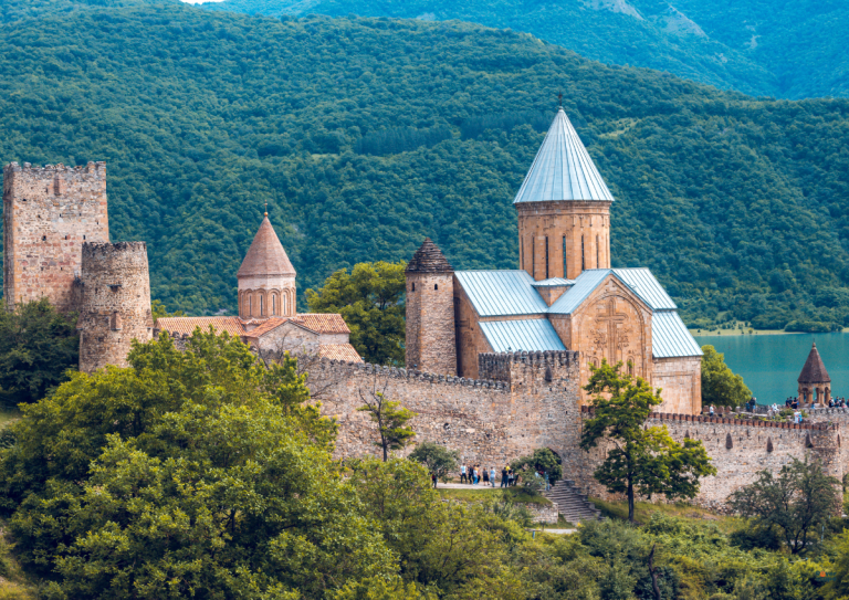 trips-to-Georgia